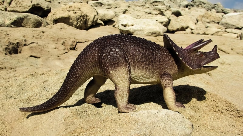 Dinosaur Extinction Redefinition